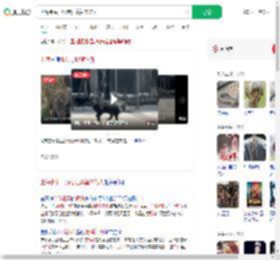上海街头一野猪狂奔暂未伤人_360搜索