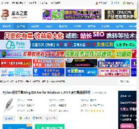 WingPro免费版下载 Python开发工具Wing IDE Pro for Windows v10.0.9 官方最新解压版 下载-脚本之家