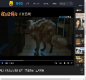 电影《我会好好的》发布“养宠实录”正片片段_高清视频在线观看_电影网