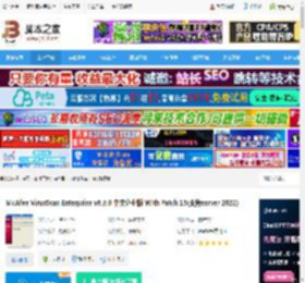 McAfee下载 McAfee VirusScan Enterprise v8.8.0 中文企业版 With Patch 15(支持server 2022) 下载-脚本之家