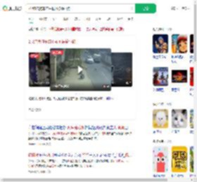 2只流浪狗车流中救回被撞小狗_360搜索