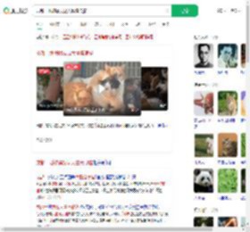 成都一地被曝发现大量流浪猫_360搜索