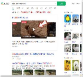 狗狗干农活拖滴灌管狂奔_360搜索