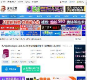 PLSQL Developer下载 PL/SQL Developer v16.0.4.2160 中文激活版(附补丁 安装教程) 32位/64位 下载-脚本之家