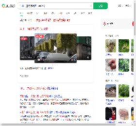 河北一道路惊现方形绿化树_360搜索