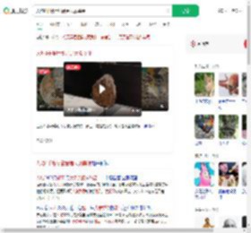 人均4千餐厅甜品是大象粪便_360搜索