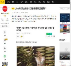 Lisa科切拉舞台“打破传统韩流框架”_演出_表演_K-pop