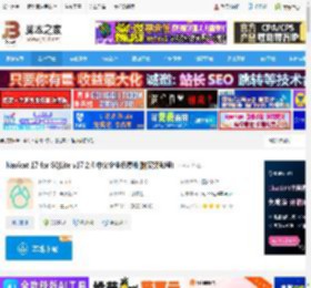 Nicat17下载 Nicat 17 for SQLite v17.2.4 中文企业免费版(附安装教程) 下载-脚本之家