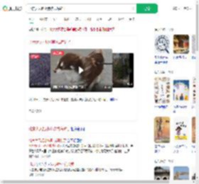 北京大风把小狗吹成海豹了_360搜索