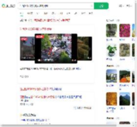 江西超1500年树龄银杏树倒塌_360搜索