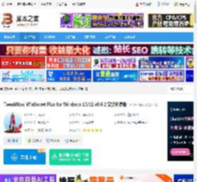 Win10/11系统优化工具下载 TweakNow WinSecret Plus for Windows 10/11 v6.6.2 安装免费版 下载-脚本之家