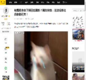 赵露思亲自下场回怼黑粉？网友笑疯：这波操作比偶像剧还爽！_截图_群众_重点