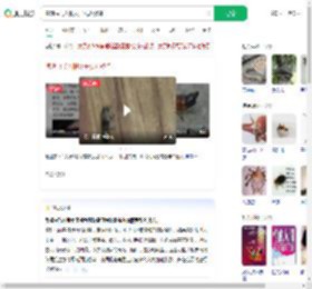 隐翅虫飞入眼女子视力骤降_360搜索