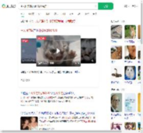 主人回应3眼2鼻2嘴双头猫_360搜索