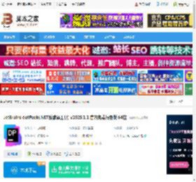 JetBrains2025下载 JetBrains dotPeek(.NET反编译工具) v2025.1.1 官方免费绿色版 64位 下载-脚本之家