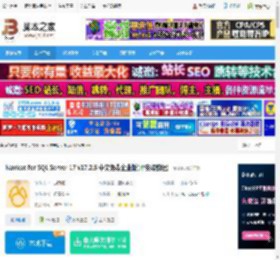 Nicat17官方下载 Nicat for SQL Server 17 v17.2.5 中文免费企业版(附安装教程) 下载-脚本之家