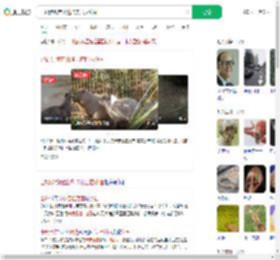 已初步锁定出逃卡皮巴拉范围_360搜索