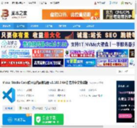 VSCode中文版下载 Visual Studio Code跨平台代码编辑器 v1.102.3 64位 官方中文安装版 下载-脚本之家