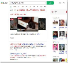女租客退房遗弃8只猫拉黑房主_360搜索