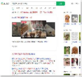 流浪狗乞食生小狗托付老板_360搜索