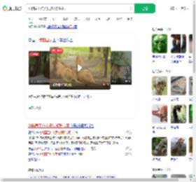 动物园工作人员被狮群咬死_360搜索