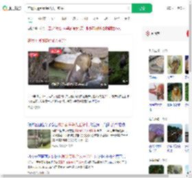 在景区遇到秦岭杀人王羚牛_360搜索